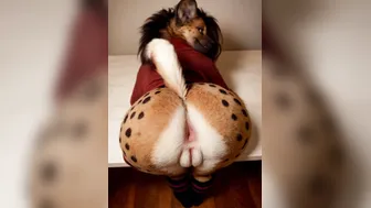 Big ass Hyena