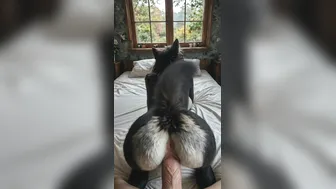 "Doggy"style pov