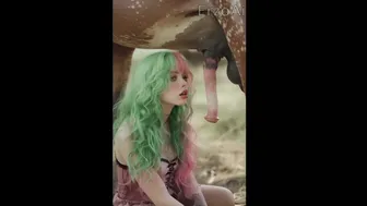 Fun in the forest