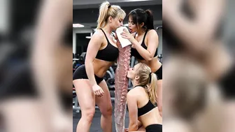 gym fight