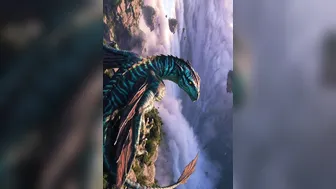 Pandora Diaries