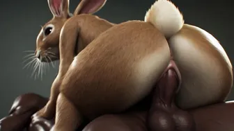 RABBIT 001
