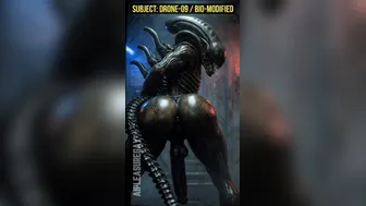 Xenomorph Big Ass