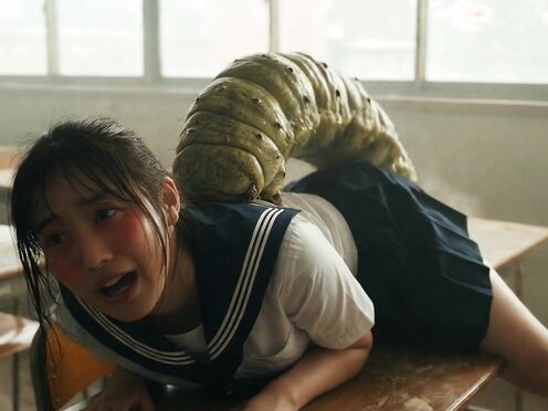 insect lover 6