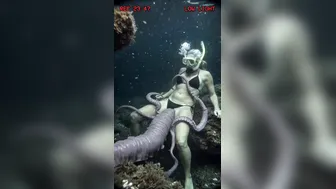 Underwater dangerous insert