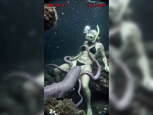 Underwater dangerous insert