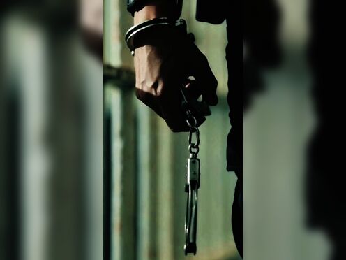 Jailed Giant Futanari Cinematic Clip