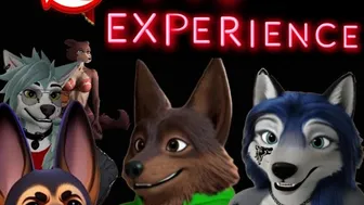 VIP Experience
