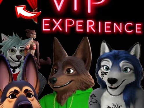 VIP Experience