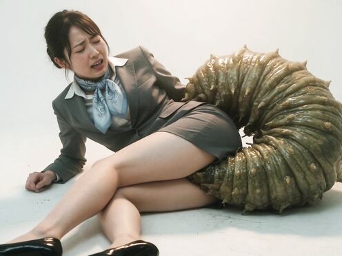 insect lover 12