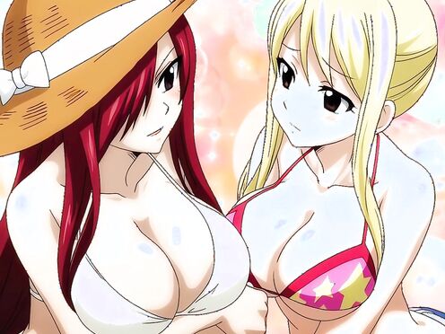 Fairy Tail - Erza and Lucy