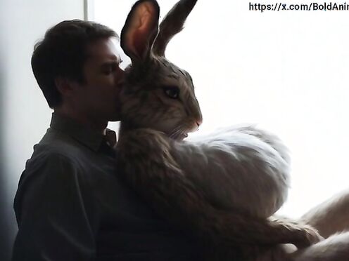 Bunny ride