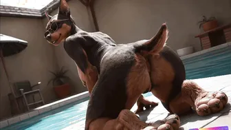 [FURRY] Bouncy dobermann butt