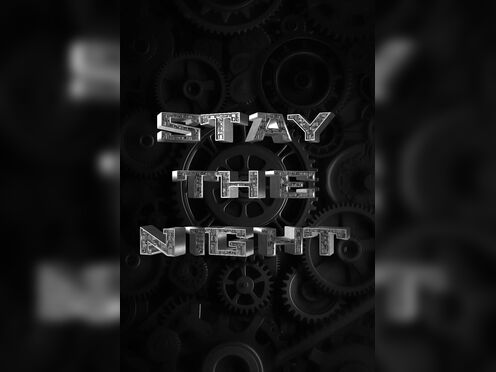 Stay The Night